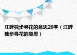 江畔獨步尋花的意思20字（江畔獨步尋花的意思）