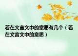 若在文言文中的意思有幾個（若在文言文中的意思）
