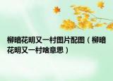 柳暗花明又一村圖片配圖（柳暗花明又一村啥意思）