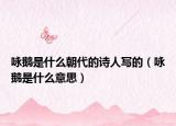詠鵝是什么朝代的詩人寫的（詠鵝是什么意思）