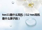 tws11是什么耳機（i12 tws耳機是什么牌子的）