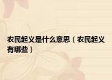 農(nóng)民起義是什么意思（農(nóng)民起義有哪些）