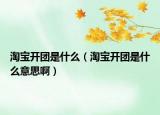 淘寶開(kāi)團(tuán)是什么（淘寶開(kāi)團(tuán)是什么意思啊）