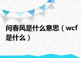 問春風(fēng)是什么意思（wcf是什么）