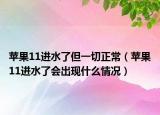 蘋果11進水了但一切正常（蘋果11進水了會出現(xiàn)什么情況）