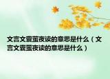 文言文囊螢夜讀的意思是什么（文言文囊螢夜讀的意思是什么）