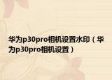華為p30pro相機(jī)設(shè)置水?。ㄈA為p30pro相機(jī)設(shè)置）