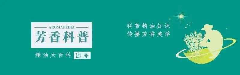 薰衣草精油—護(hù)膚升級的小秘密