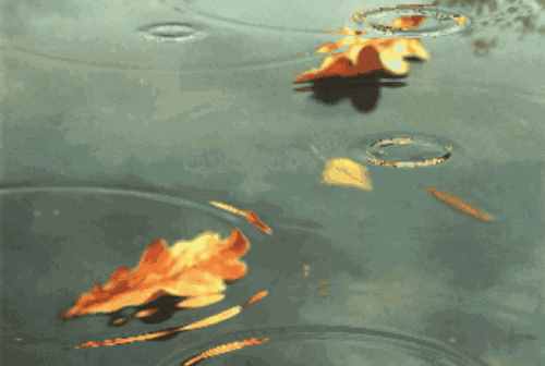 14首詩(shī)詞中的秋雨，滴滴都落在心頭