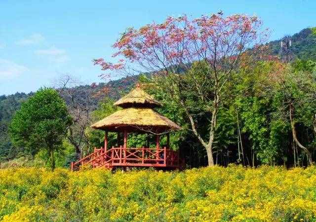 據(jù)說(shuō)這是廣州最值得去的20個(gè)景點(diǎn)，你去過(guò)幾個(gè)？