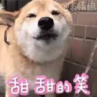 你知道嗎，風(fēng)油精是可以喝的！還有你想不到的神用途！