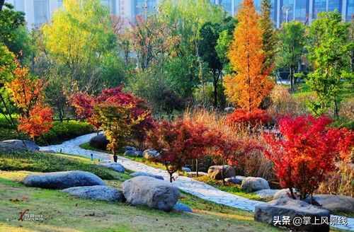 無(wú)錫：必去的13個(gè)免費(fèi)景區(qū)！自駕，徒步，散心都行！