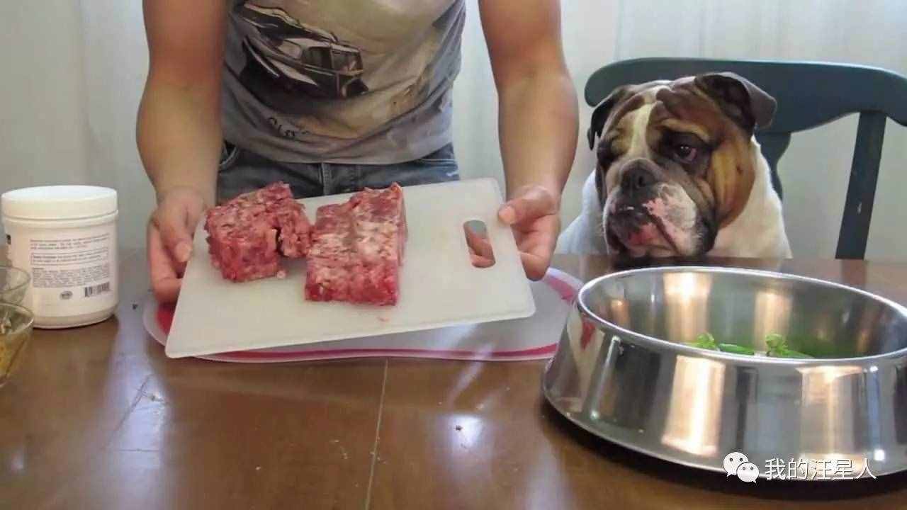 狗狗得了真菌性皮膚病該怎么辦？