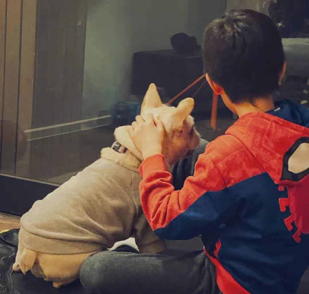 孫儷鄧超慶結(jié)婚10周年！一家四口合照長腿矚目，等等親昵環(huán)抱小花