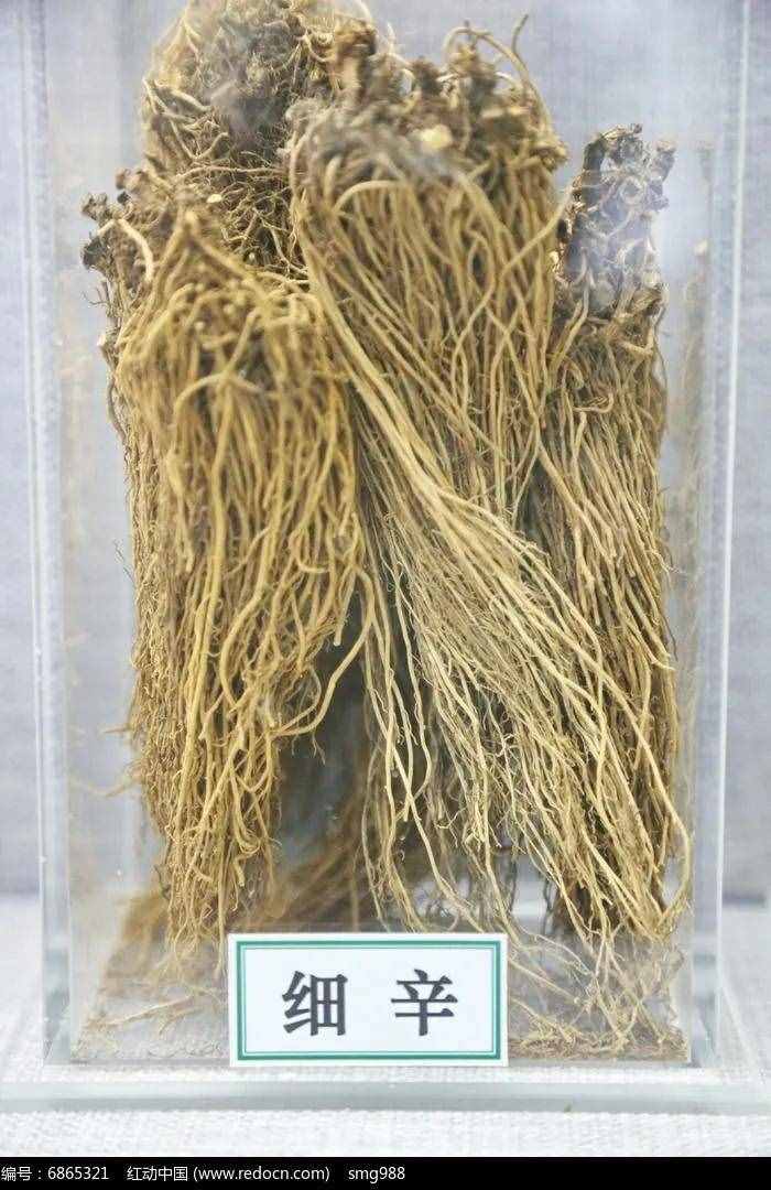 過敏性鼻炎常用、效佳的藥對