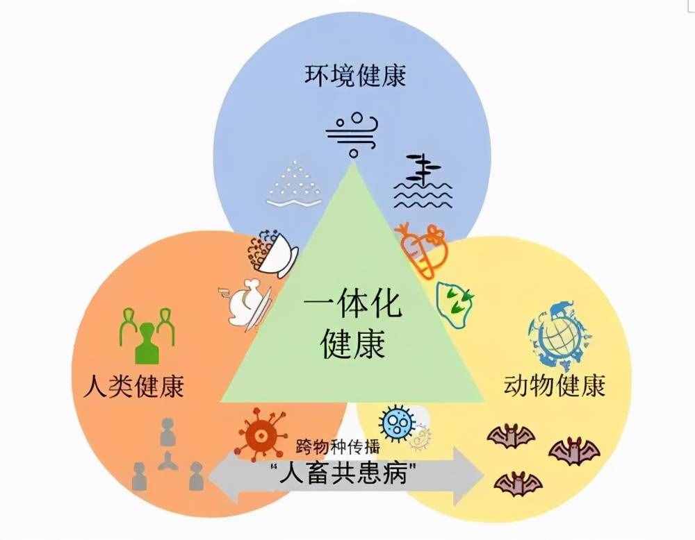 動物防疫法5月1日起施行，關(guān)系到畜禽和寵物！