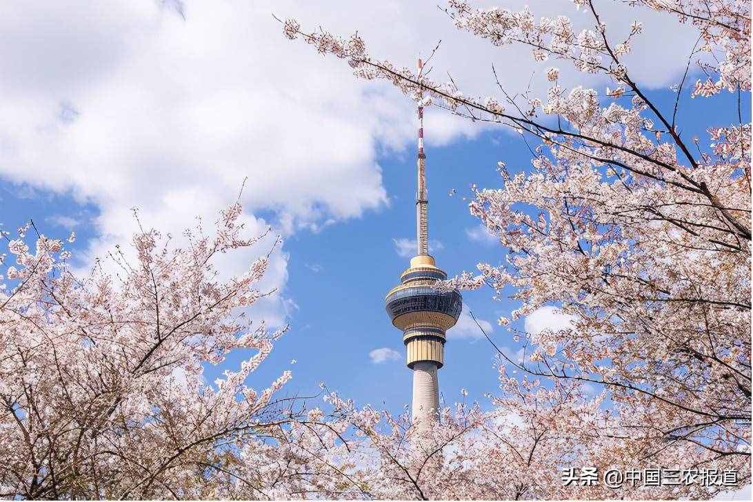 清明踏青小指南｜人間最美四月天 這10個地方值得一去