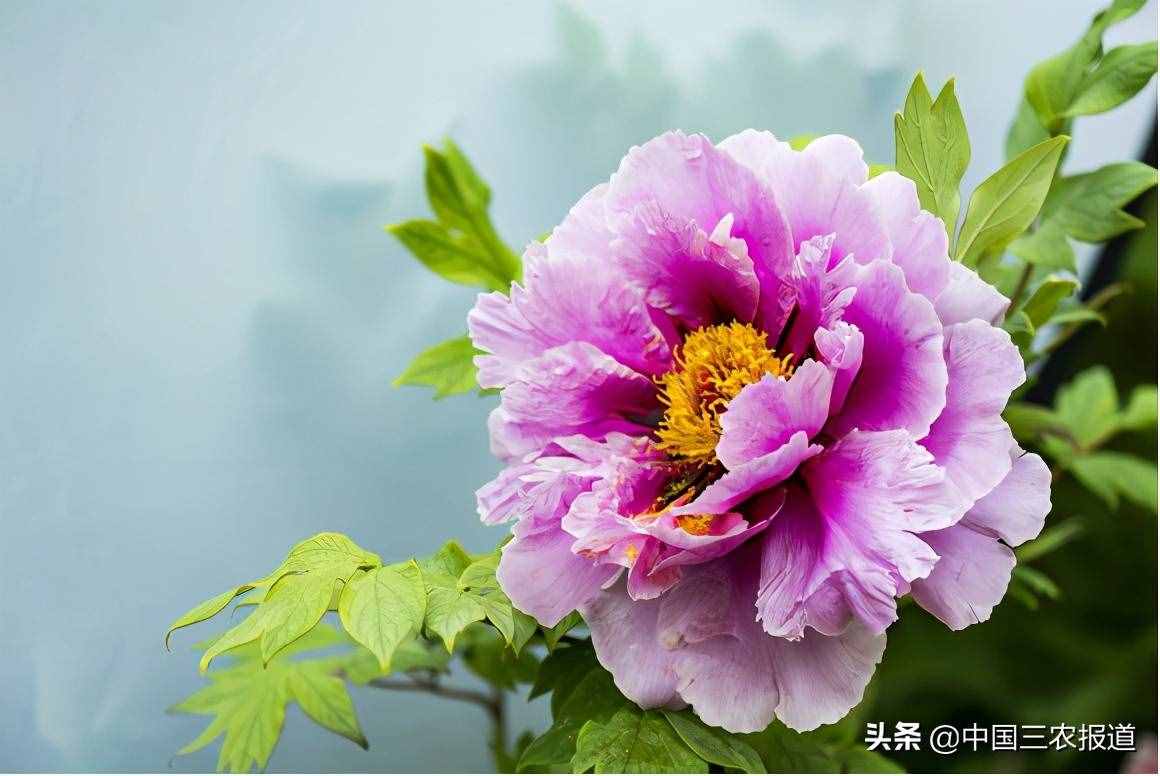 清明踏青小指南｜人間最美四月天 這10個地方值得一去