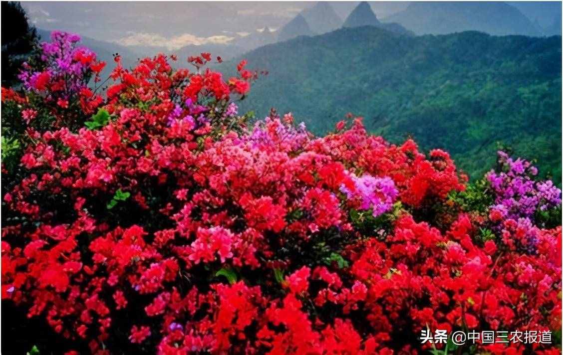 清明踏青小指南｜人間最美四月天 這10個地方值得一去