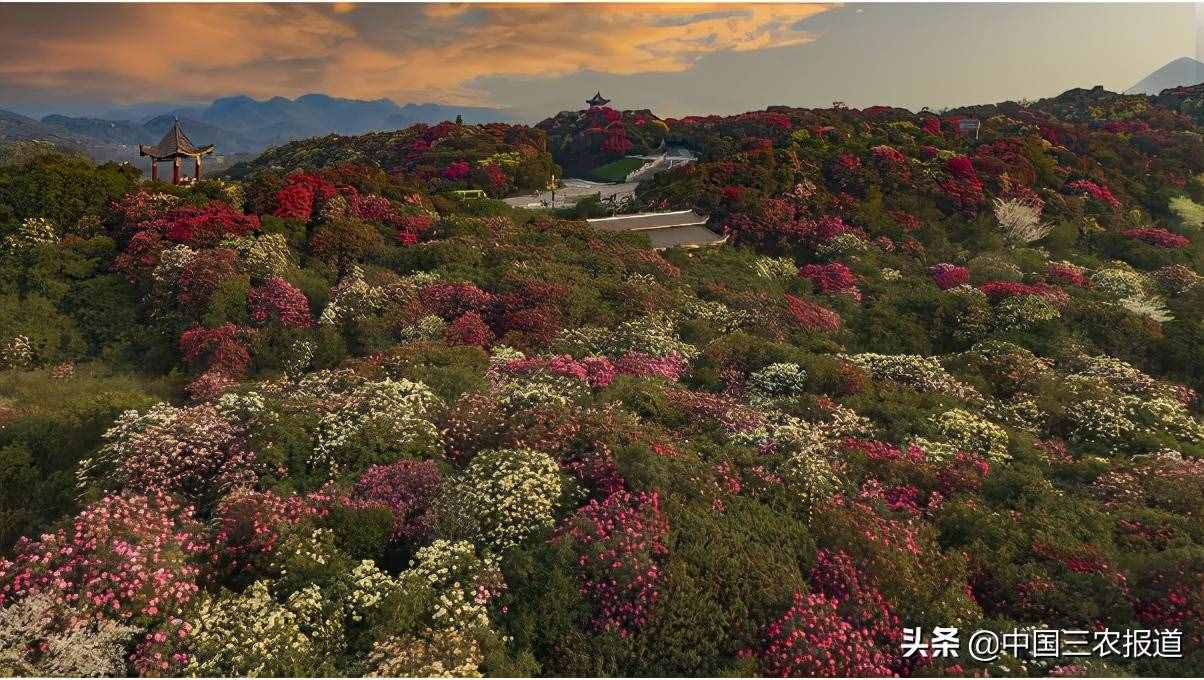 清明踏青小指南｜人間最美四月天 這10個地方值得一去