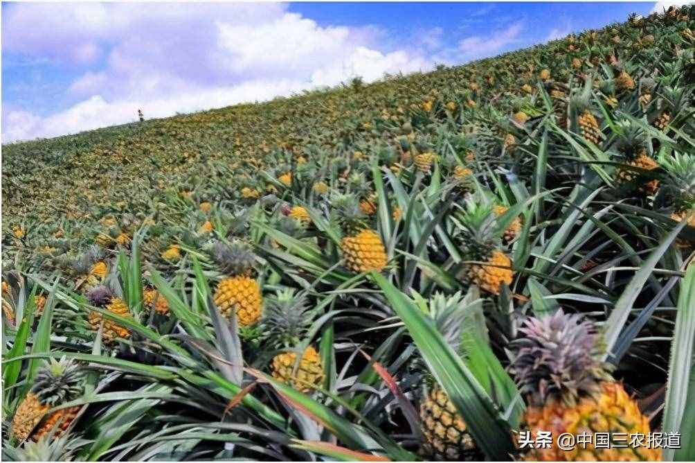 清明踏青小指南｜人間最美四月天 這10個地方值得一去