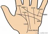 今日更新看手紋（看手紋怎么看）