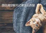 今日更新蘋果11恢復微信聊天記錄(蘋果11恢復微信聊天)