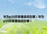 華為p10開發(fā)者選項在哪（華為p10開發(fā)者選項在哪）