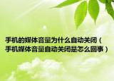手機的媒體音量為什么自動關閉（手機媒體音量自動關閉是怎么回事）