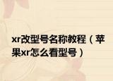 xr改型號名稱教程（蘋果xr怎么看型號）