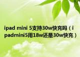 ipad mini 5支持30w快充嗎（ipadmini5用18w還是30w快充）