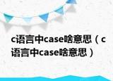 c語言中case啥意思（c語言中case啥意思）