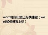 word如何設(shè)置上標(biāo)快捷鍵（word如何設(shè)置上標(biāo)）