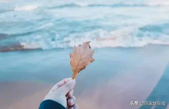 你幾月出生，就是什么神仙！