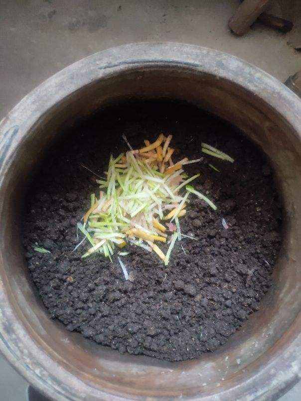 自制養(yǎng)花營養(yǎng)土，簡單又省錢，秒變養(yǎng)花達(dá)人