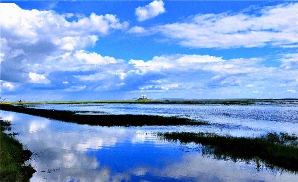 你知道“又雙叒叕”，那“屮艸芔茻”呢？能一次讀完的人寥寥無幾