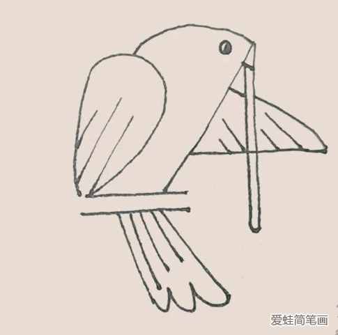 簡筆畫之鴿子