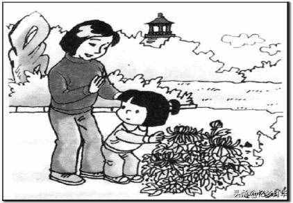 一年級看圖寫話專項訓練，圖文并茂，假期里小朋友一定要看看喲