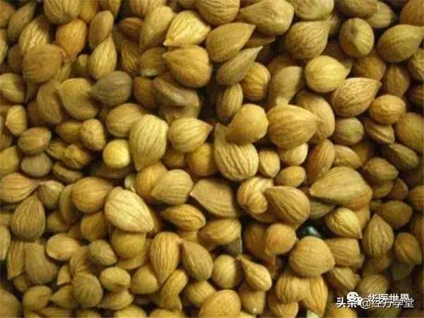 老中醫(yī)的美白秘籍：4個(gè)祖?zhèn)鞣剑屇惆椎桨l(fā)光