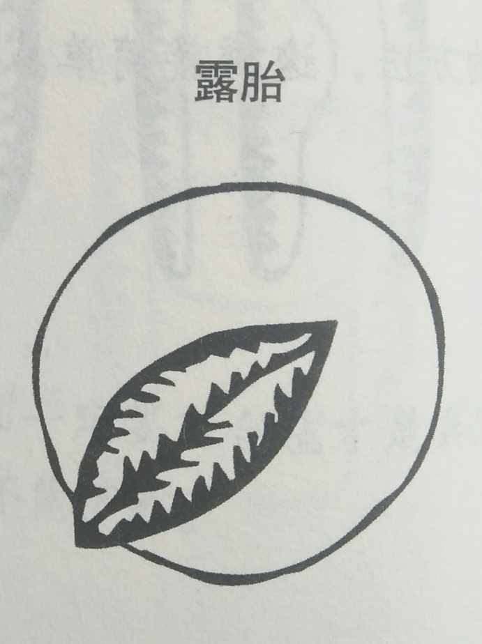 墳?zāi)癸L(fēng)水暗含玄機(jī)，何為兇墳？建議初學(xué)者加以收藏！