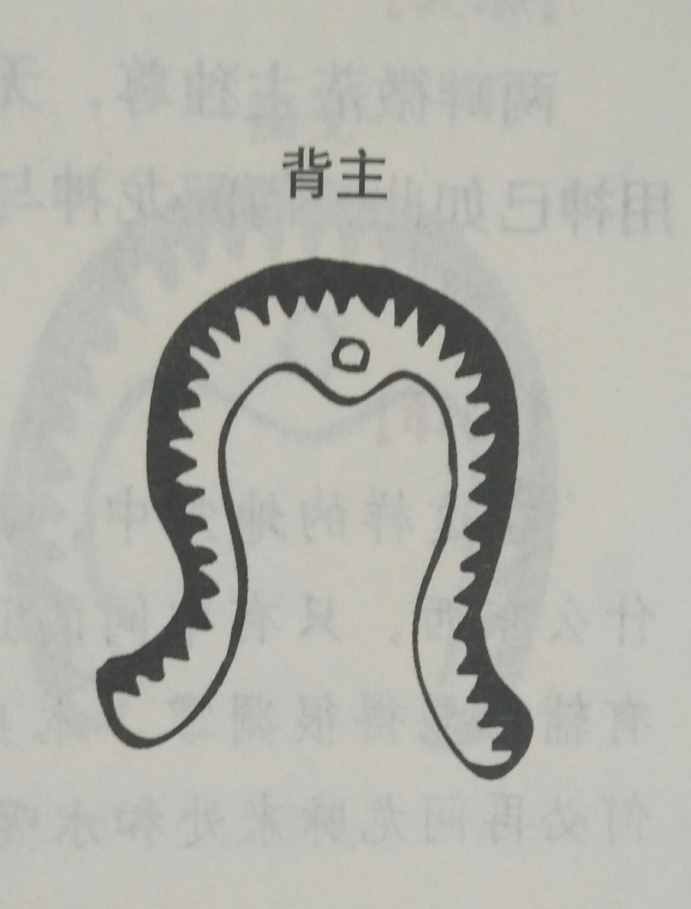 墳?zāi)癸L(fēng)水暗含玄機(jī)，何為兇墳？建議初學(xué)者加以收藏！