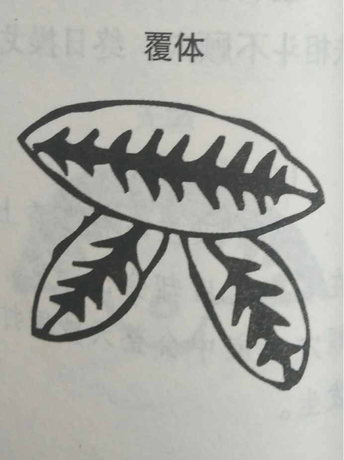 墳?zāi)癸L(fēng)水暗含玄機(jī)，何為兇墳？建議初學(xué)者加以收藏！