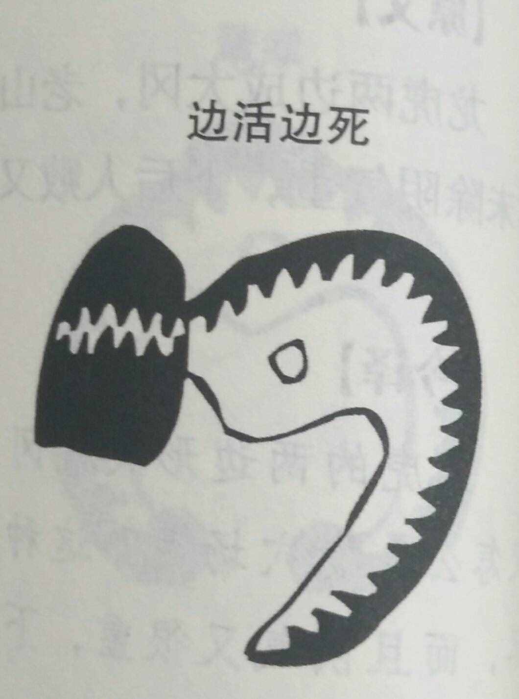 墳?zāi)癸L(fēng)水暗含玄機(jī)，何為兇墳？建議初學(xué)者加以收藏！