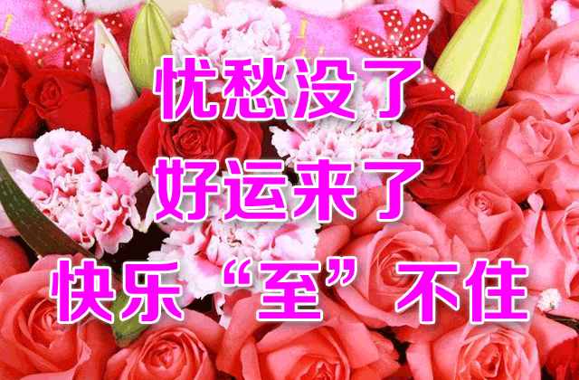 最美的冬至祝福語圖文集，冬至早安