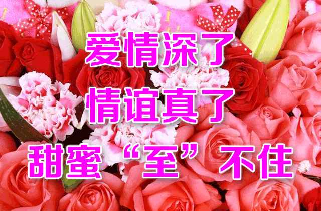 最美的冬至祝福語圖文集，冬至早安
