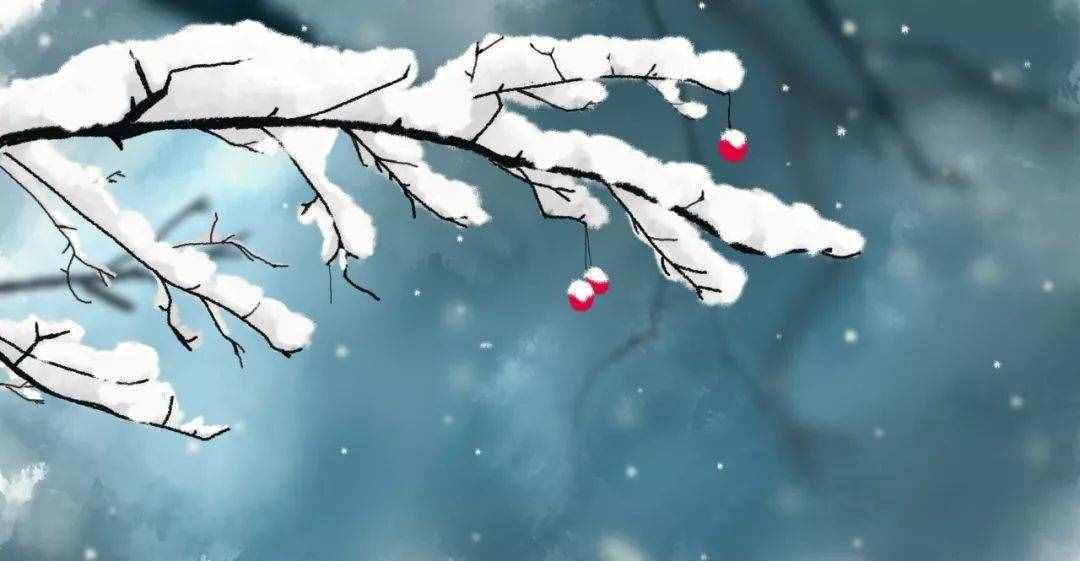 十首小雪詩(shī)詞：小雪飄揚(yáng)，一片飛來一片寒