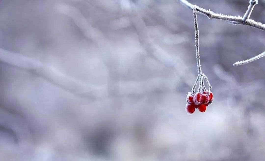 十首小雪詩(shī)詞：小雪飄揚(yáng)，一片飛來一片寒