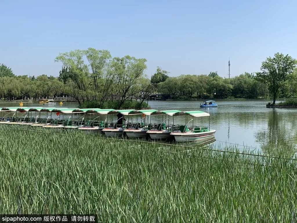 全部免費(fèi)！北京這些公園人少景美，還能放風(fēng)箏！假期去正好！