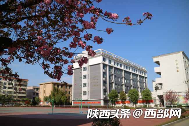 春天里的陜西｜漢中漢臺區(qū)：校園滿春色