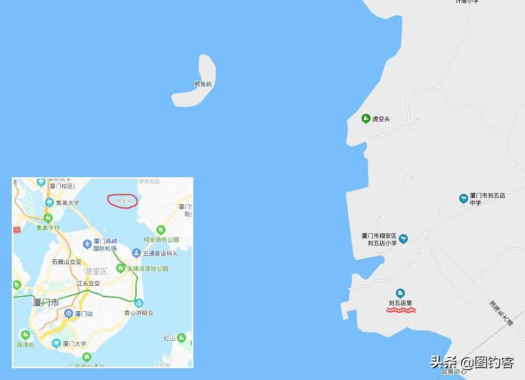 文昌魚：因朱熹而得名，在地球上存在了5億年，是生物“活化石”